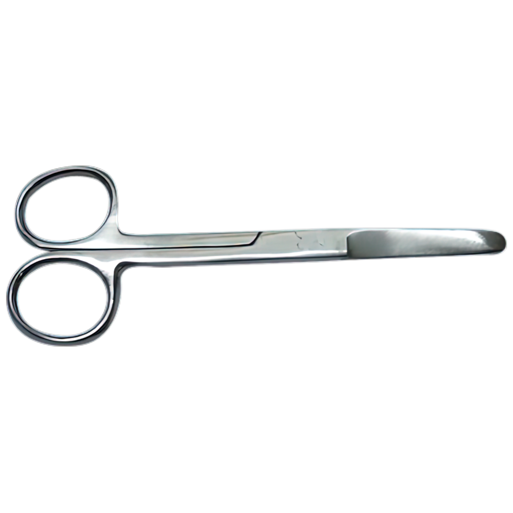Stainless Steel Blunt 13cm Scissors